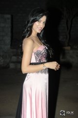 Richa Panai at Lava Kusa Movie Audio Launch